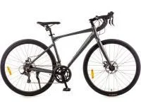 Велосипед FAVORIT PEGASUS-700MDA 19"