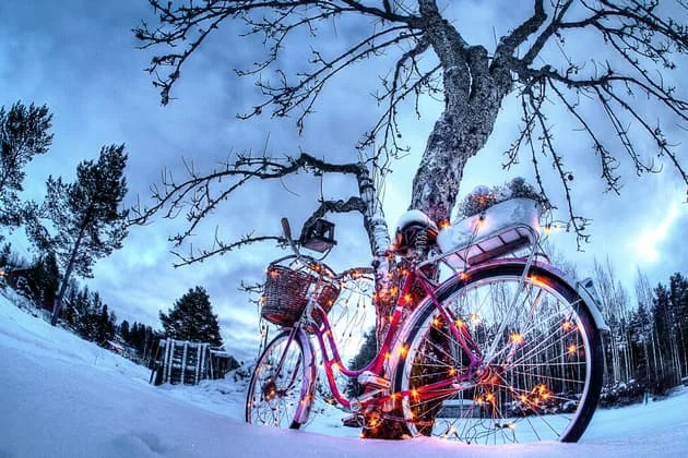 Команда ProBike поздравляет вас с Новым 2024 годом и Рождеством!