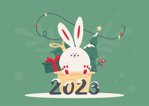 С Новым 2023 годом и Рождеством! Режим работы в праздники!